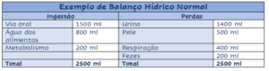 Tudo O Que Voc Precisa Saber Sobre Balan O Hidrico Do Paciente